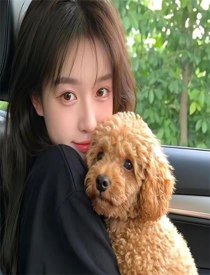 鄉村愛情圓舞曲全集在線觀看_免費觀看MV大片的直播軟件